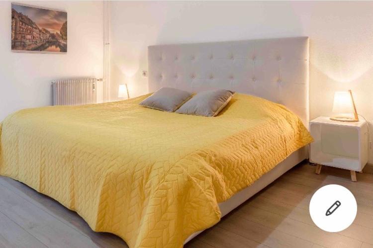 Appartement Colmar Centre Historique Avec Garage 外观 照片
